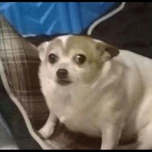 Meet your Posher, Christian